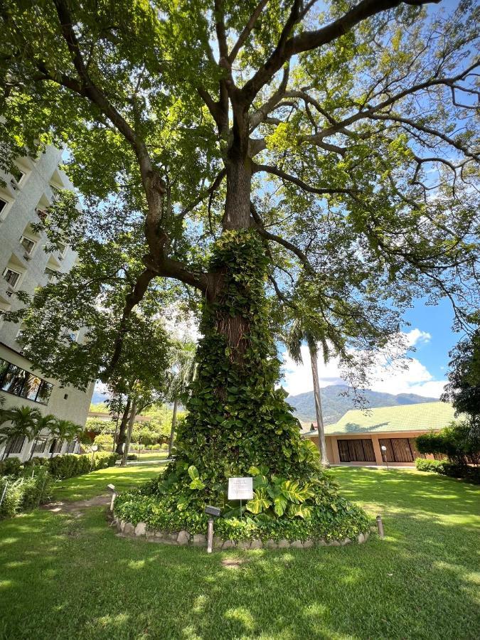 Copantl Hotel & Convention Center San Pedro Sula Bagian luar foto